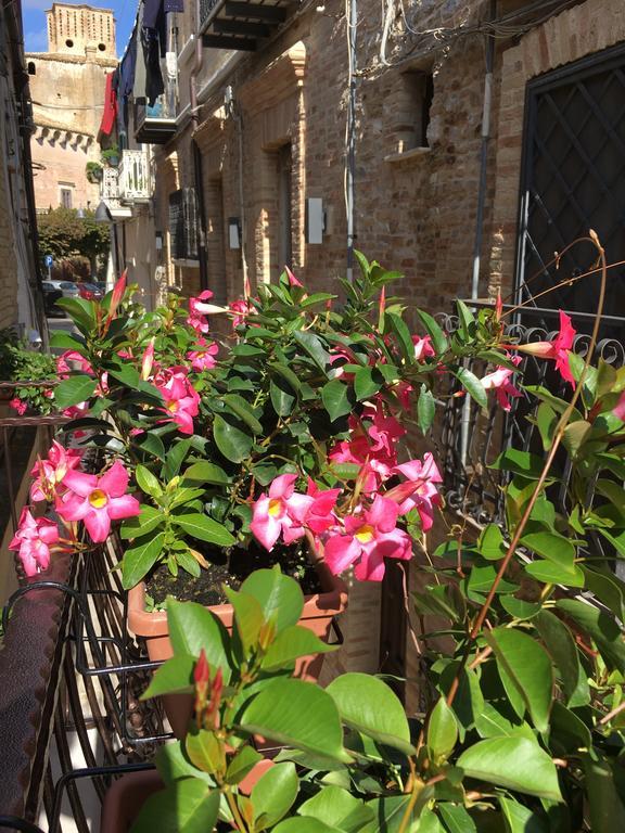 Guest House Dimora Fiorita Serracapriola 외부 사진